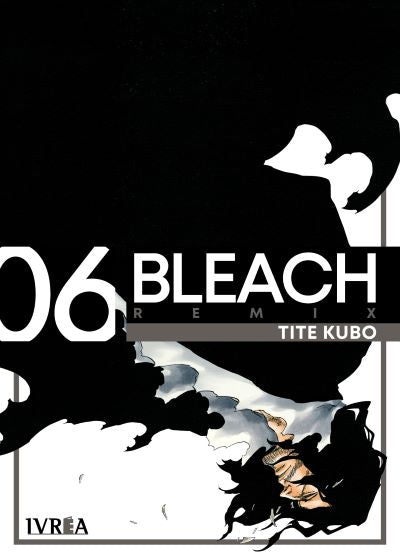 BLEACH REMIX 06