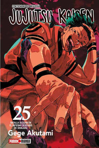 JUJUTSU KAISEN 25