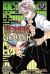 DEMON SLAYER 17